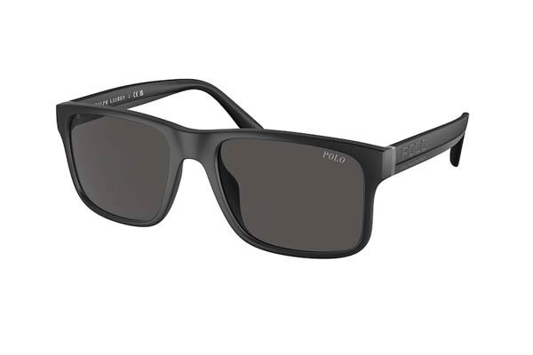 Sunglasses Polo Ralph Lauren 4195U 500187