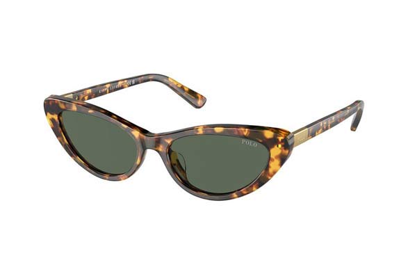 Sunglasses Polo Ralph Lauren 4199U 607871