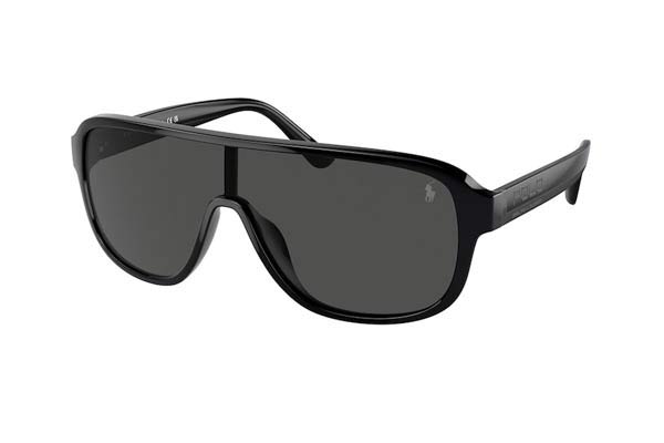 Sunglasses Polo Ralph Lauren 4196U 500187