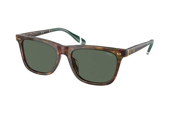 Sunglasses Polo Ralph Lauren 4205U 501771