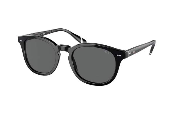 Sunglasses Polo Ralph Lauren 4206 500187