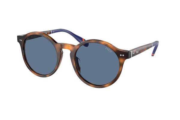 Sunglasses Polo Ralph Lauren 4204U 608980