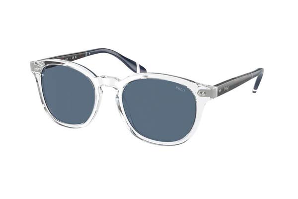 Sunglasses Polo Ralph Lauren 4206 533180