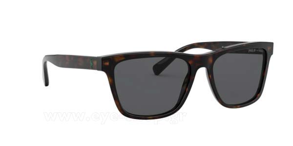 Sunglasses Polo Ralph Lauren 4167 500381