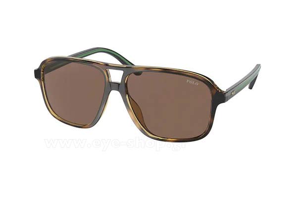Sunglasses Polo Ralph Lauren 4177U 500373