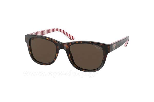 Sunglasses Polo Ralph Lauren 9501 593673