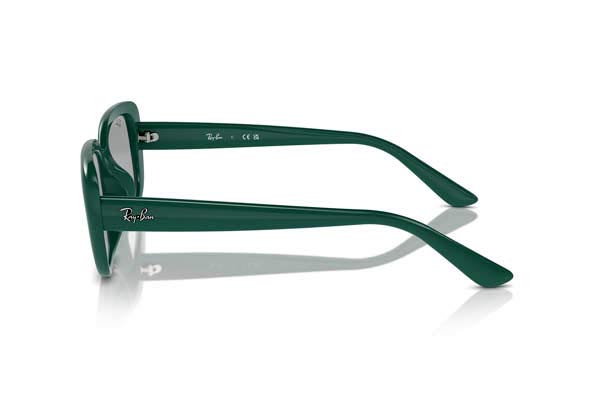 Rayban model 4421D color 676287