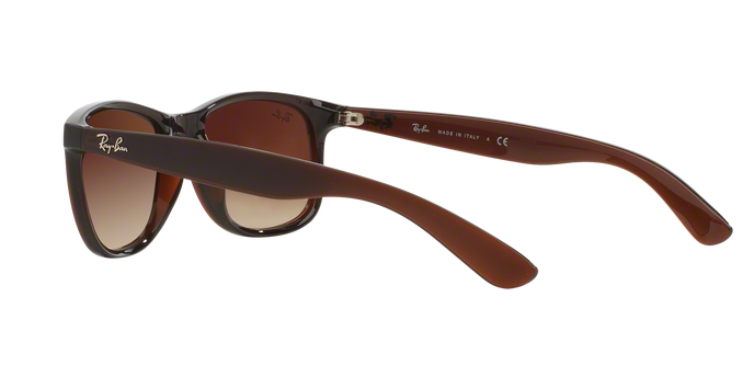 Rayban ANDY 4202 607313 360 view