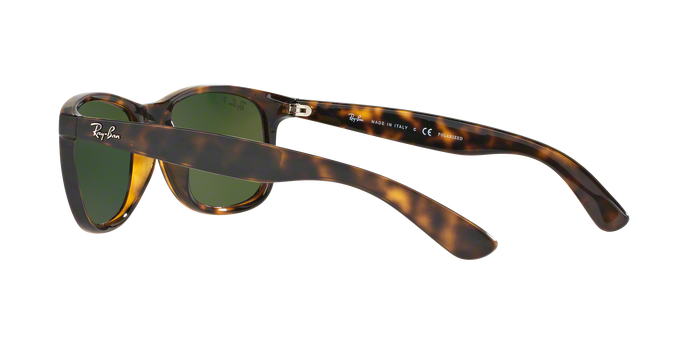 Rayban ANDY 4202 710/6S 360 view