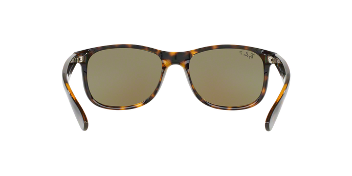 Rayban ANDY 4202 710/9R Pol 360 view
