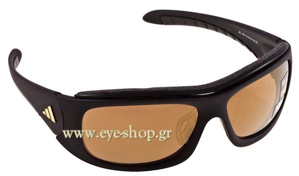 Sunglasses Adidas Terrex A166 6050