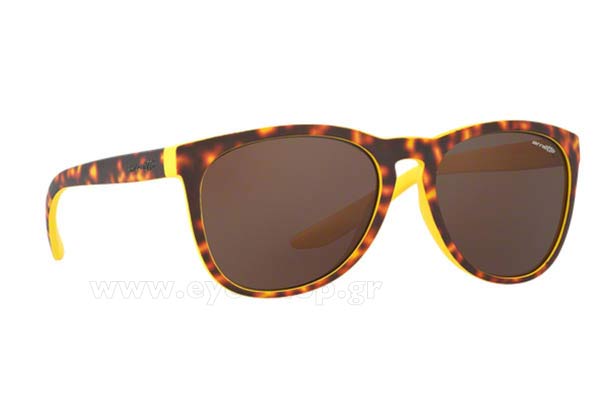 Sunglasses Arnette GO TIME 4227 239273