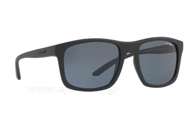 Sunglasses Arnette COMPLEMENTARY 4233 01/81 Polarized