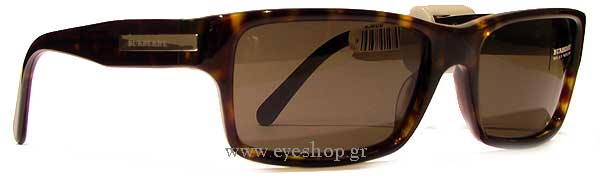 Sunglasses Burberry 4006 3002/3