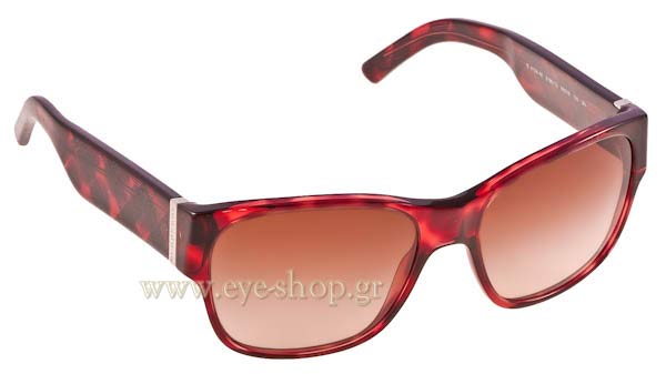 Sunglasses Burberry 4104M 319613