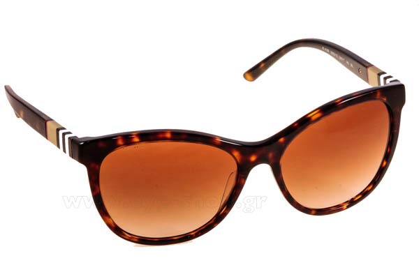 Sunglasses Burberry 4199 300213
