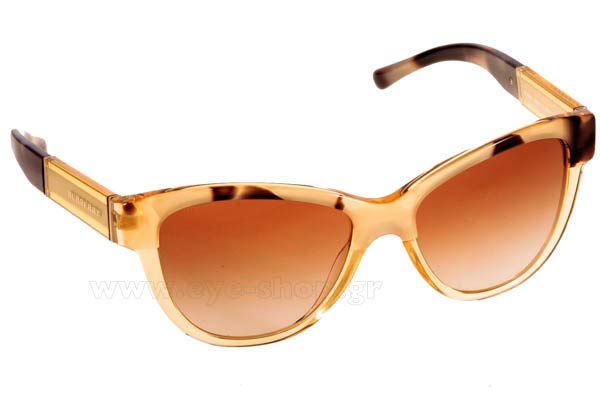 Sunglasses Burberry 4206 356213