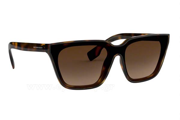Sunglasses Burberry 4279 300213