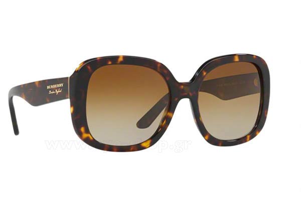Sunglasses Burberry 4259 3002T5