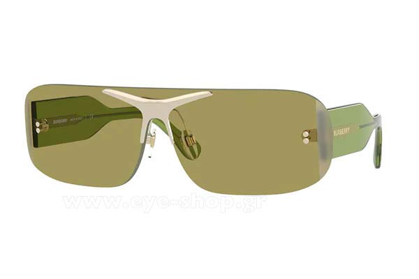 Sunglasses Burberry 3123 3917/2