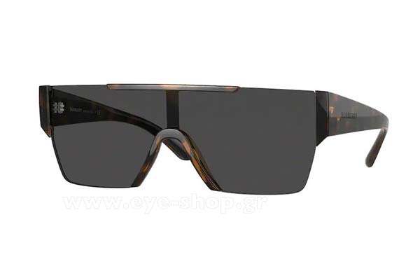 Sunglasses Burberry 4291 300287