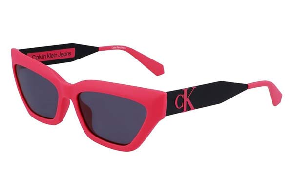 Sunglasses Calvin Klein Jeans CKJ22640S 675