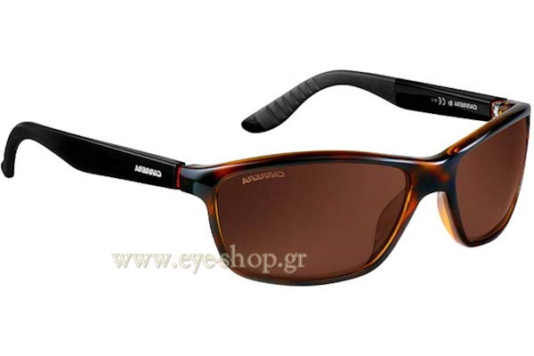 Sunglasses Carrera CARRERA 8000 2XF8U  HVN BLACK (DK BROWN)
