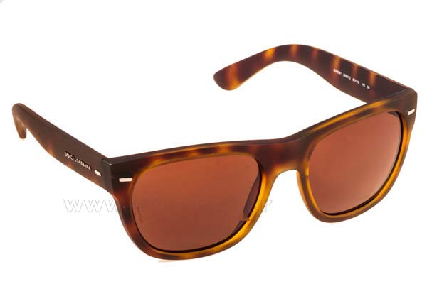 Sunglasses Dolce Gabbana 6091 289973