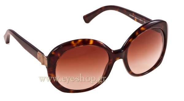 Sunglasses Emporio Armani EA 4009 502613