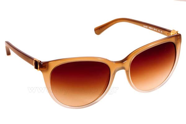 Sunglasses Emporio Armani 4057 545813