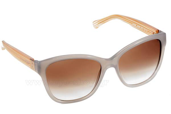 Sunglasses Emporio Armani 4068 55198E