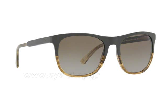 Sunglasses Emporio Armani 4099 557113