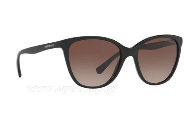 Sunglasses Emporio Armani 4110 500113