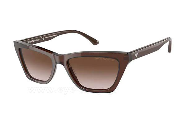 Sunglasses Emporio Armani 4169 591013