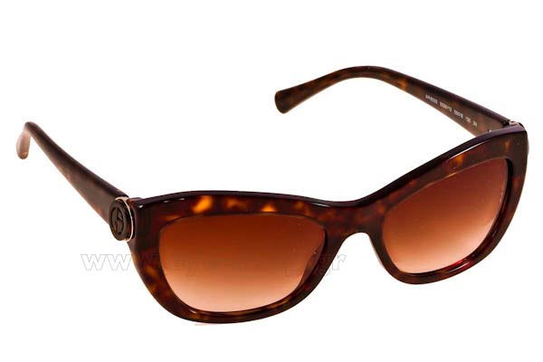 Sunglasses Giorgio Armani 8029 502613