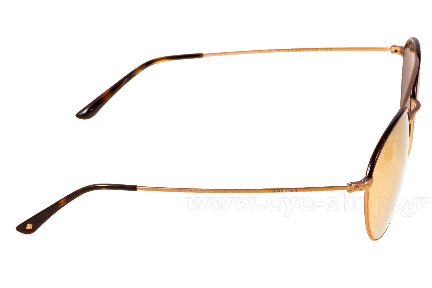 Giorgio Armani Sunglasses AR 6032-J Giorgio Armani AR 6032-J 55mm Replacement Lenses main image 2