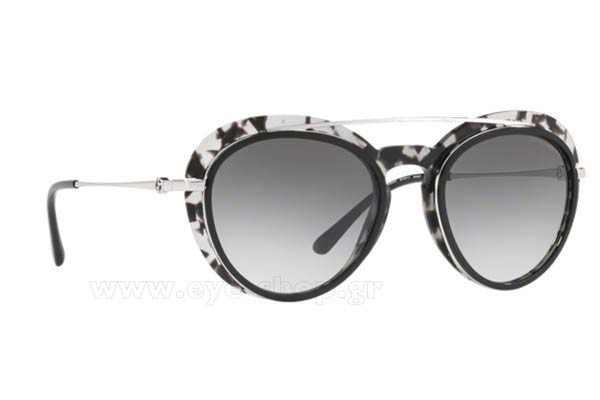 Sunglasses Giorgio Armani 6055 301511