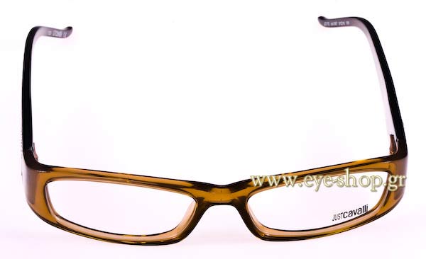 Eyeglasses Just Cavalli JC172