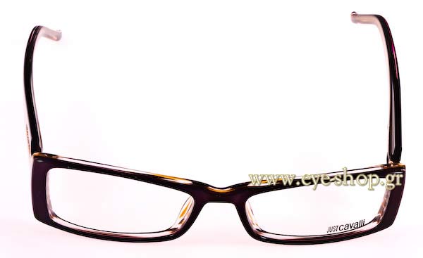 Eyeglasses Just Cavalli JC240