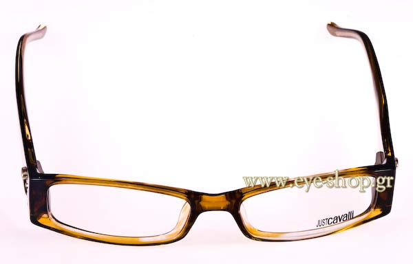Eyeglasses Just Cavalli JC0228