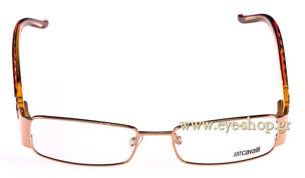 Eyeglasses Just Cavalli JC231