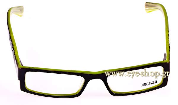 Eyeglasses Just Cavalli JC166
