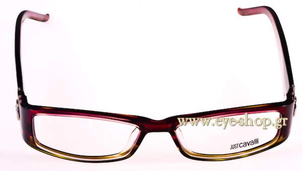 Eyeglasses Just Cavalli JC0244