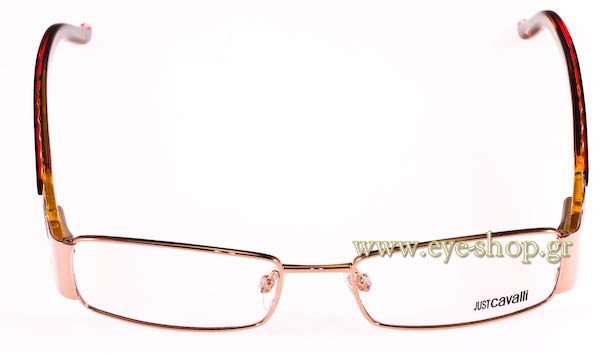 Eyeglasses Just Cavalli JC231