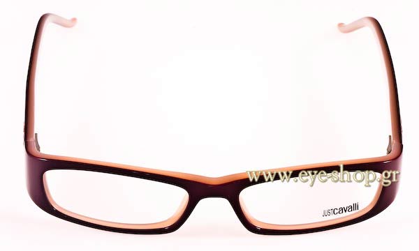 Eyeglasses Just Cavalli JC172