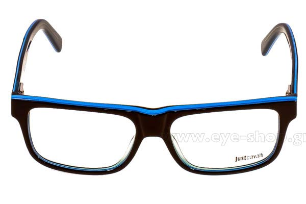 Eyeglasses Just Cavalli JC0612