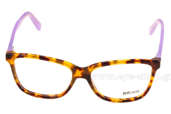 Eyeglasses Just Cavalli JC0603