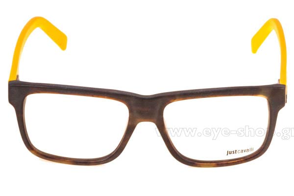 Eyeglasses Just Cavalli JC620