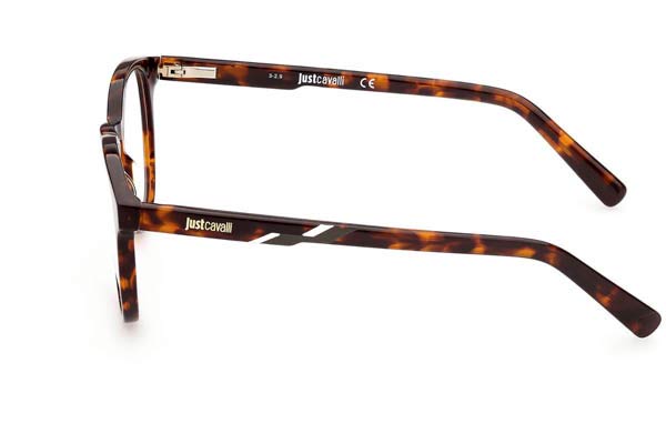 Eyeglasses Just Cavalli JC5001
