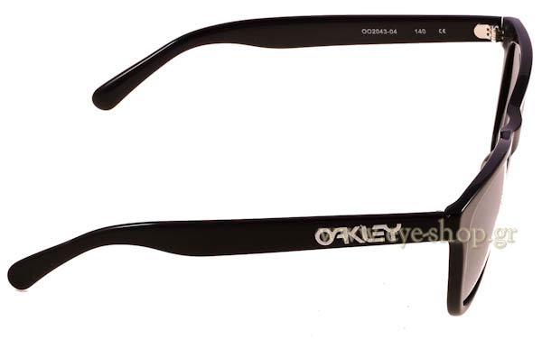 Oakley model Frogskins LX 2043 color 2043 04 black iridium Polarized